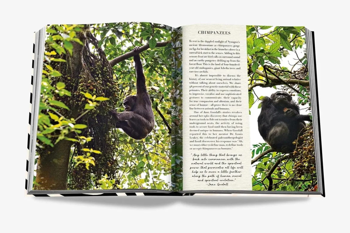 African Adventures Book