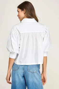 Daphne Top