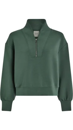Davidson Sweat