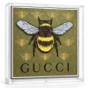 Honey 12"x12"