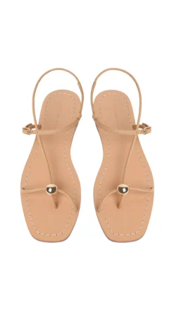 Lara Strappy Flat Sandal