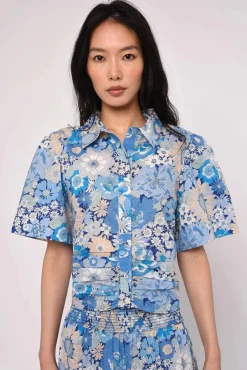 Sylvan Top